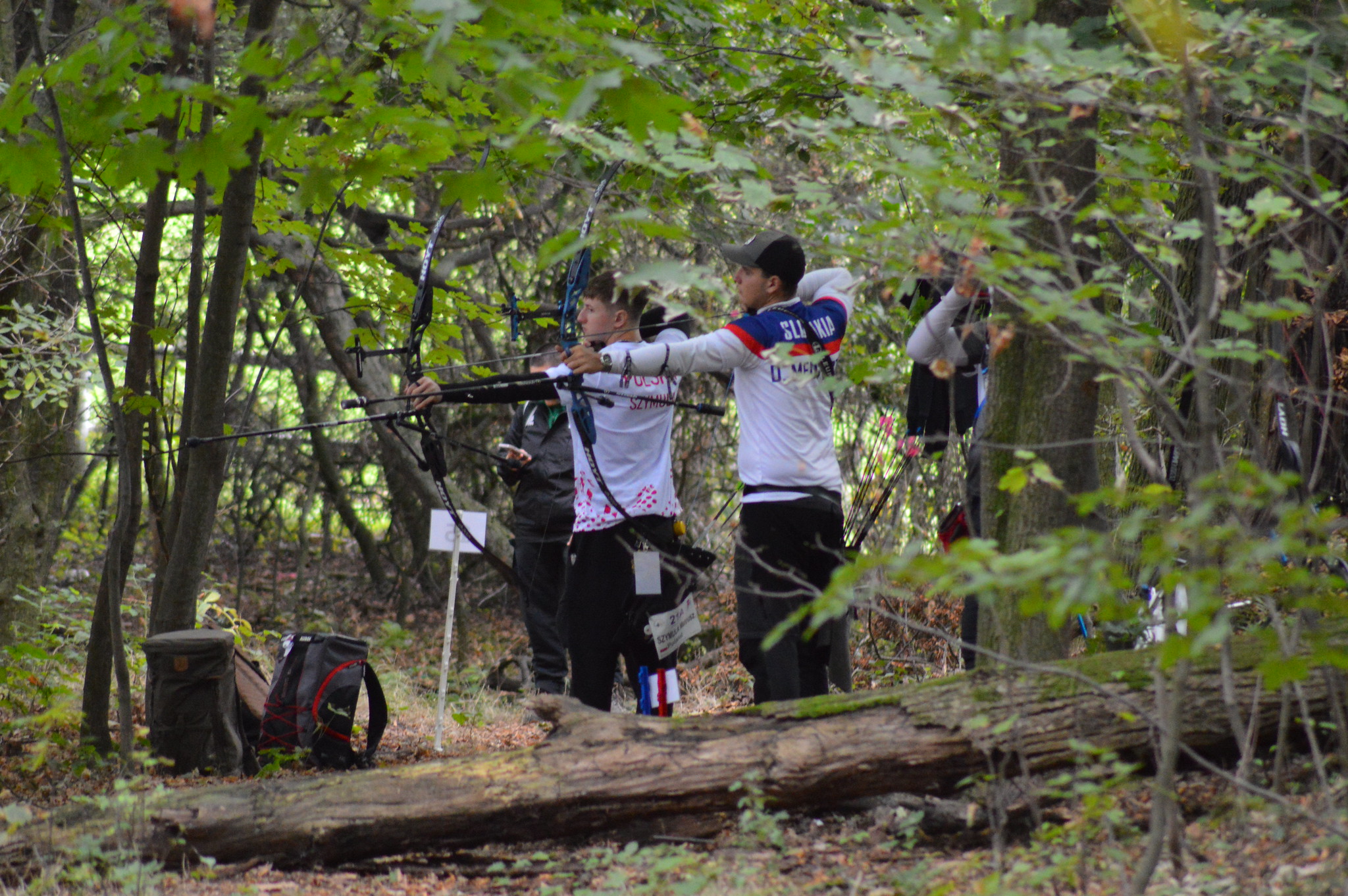 54793773033 ce3fd78646 k